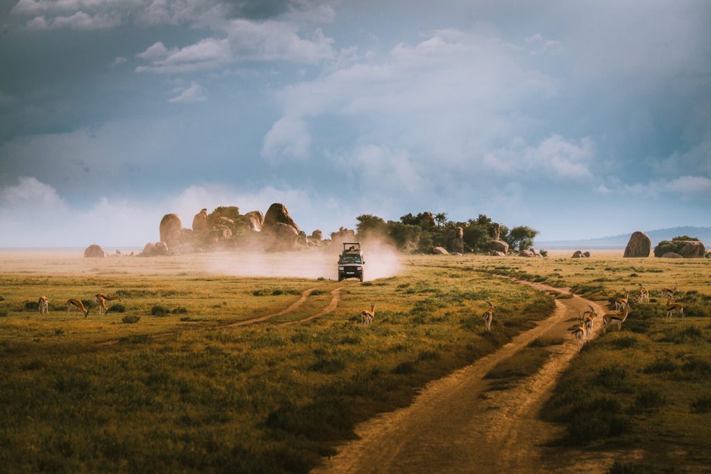 Heritage Horizon Discover Tanzania’s Untamed Beauty