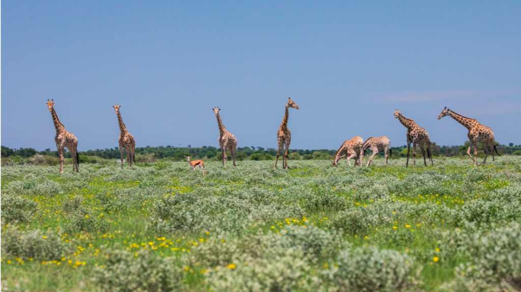 Heritage Horizon. Visit Tanzania Southern Circuit