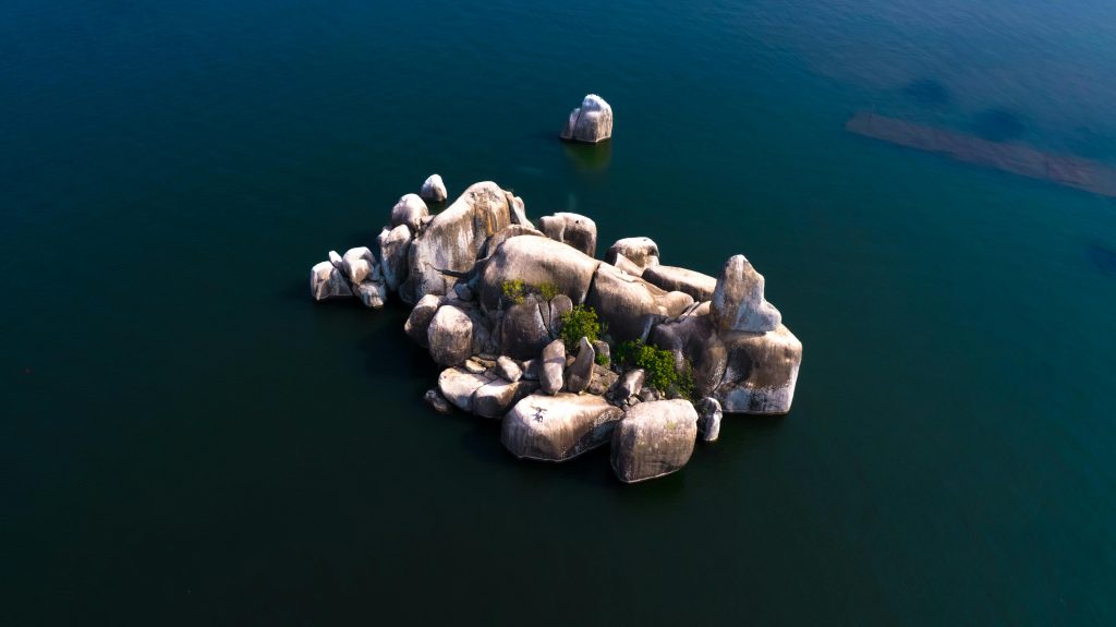 lake victoria western circuit of tanzania. Visit Tanzania Experience Tanzania's Western Circuit, a hidden jewel lying in the heart of the Great Rift Valley and boasting the resplendent Lake Victoria and Lake Tanganyika. This unique region gives you the rare opportunity of seeing the chimps in the wild across 3 national parks. The mix of western and eastern African cultures, rainfall regimes, and the flora will give you a unique experience. Roughly comparable to the East African community, therefore, a distant destination, the Western Circuit is one that attracts the journey through thrilling flights or boat rides. Combined with other circuits, it remains a destination worthy of further exploration. Explore the captivating beauty of Tanzania's Western Circuit for the adventure of a lifetime. 🌍✨ #WesternCircuit #TanzaniaAdventures #ChimpanzeeTracking