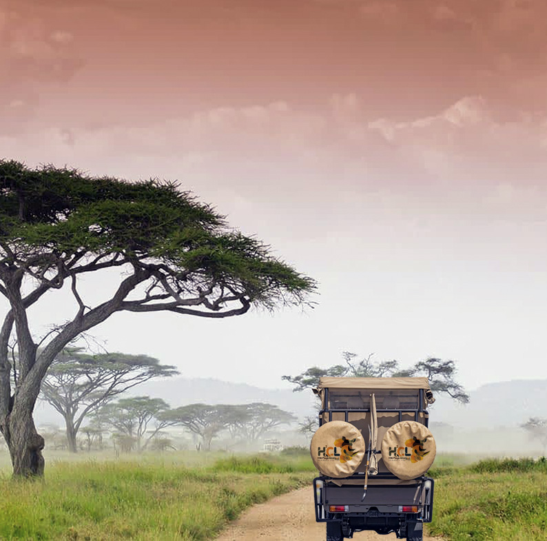 toyota-safari-truck-4-2l-diesel-manual-transmission-rhd-1689147917-large